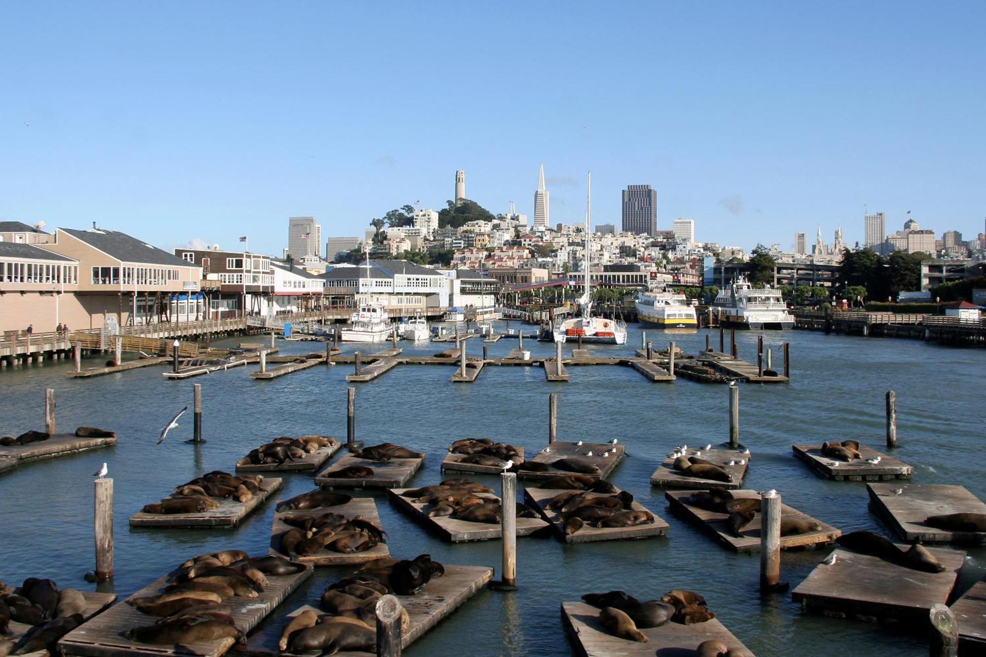 Hotel Zoe Fisherman'S Wharf Σαν Φρανσίσκο Εξωτερικό φωτογραφία